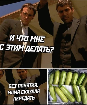 34 самые смешные картинки и мема всех времен про кабачки