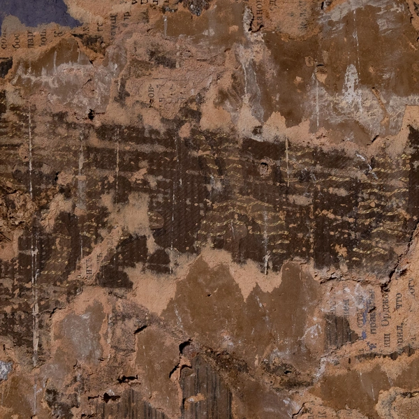 Источник: Сергей Николаев / «Фонтанка.ру»