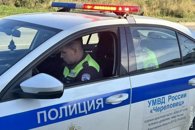 Источник: st.cherinfo.ru
