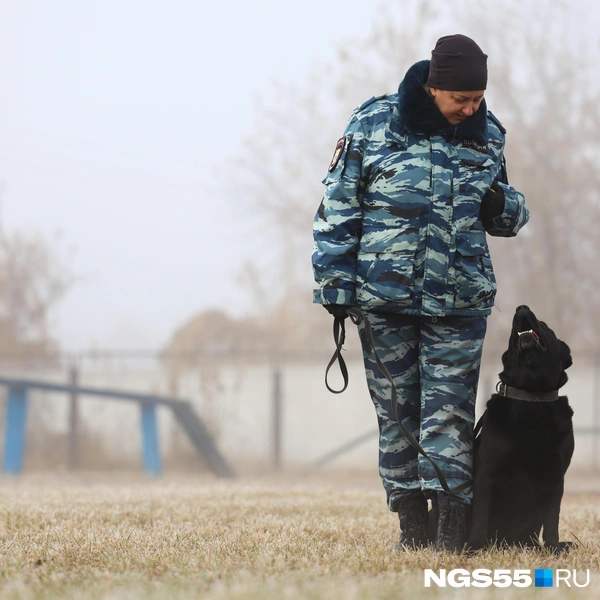 Послушный пес | Источник: Евгений Софийчук / NGS55.RU