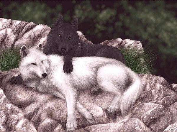 Карина и Митька | Источник: Женя Смородина