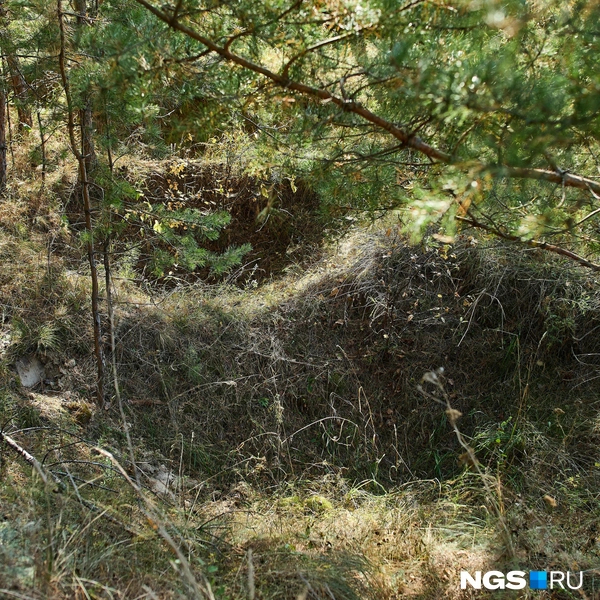Кладбище частично перенесли на новое место перед тем, как эти места стали водохранилищем | Источник: Александр Ощепков / NGS.ru