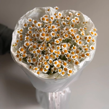 А этот стоит 2865 рублей | Источник: Neo_Flora / Vk.com