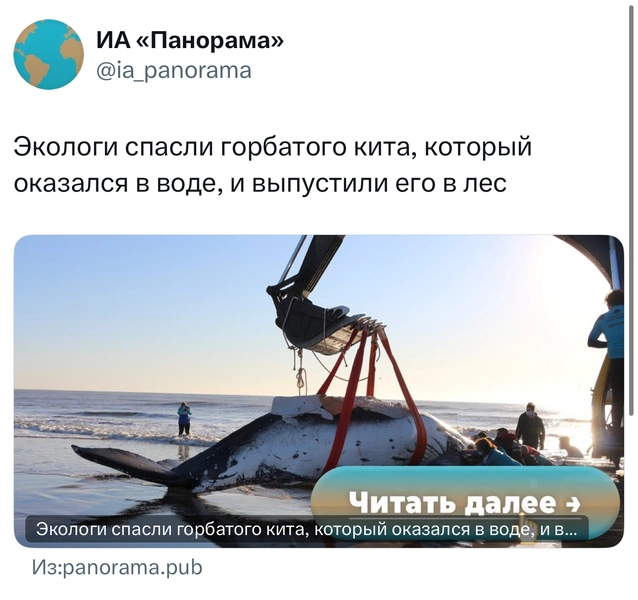 Источник: X (Twitter)