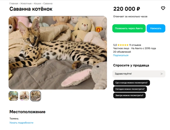 Источник: avito.ru