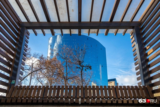 Как вам теплый ноябрь? | Источник: Роман Данилкин / 63.RU