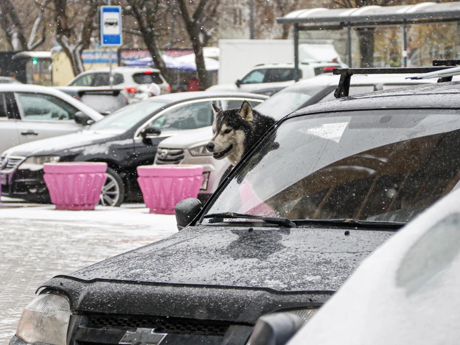 В ближайшие дни в Нижнем Новгороде установится пасмурная погода. | Источник: Наталья Бурухина / NN.RU