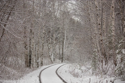 Задержки поездов в Новосибирской области из-за технических проблем