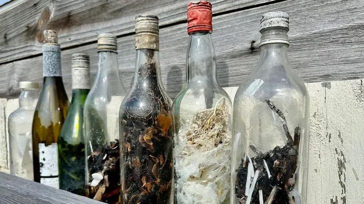 На берег Мексиканского залива выбросило «ведьмины бутылки»: что это и почему их боятся открывать