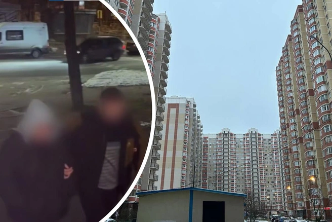 Жительница Балашихи призналась в убийстве сына | Источник: СК Подмосковья / T.me, Римма Багдасарян / MSK1.RU