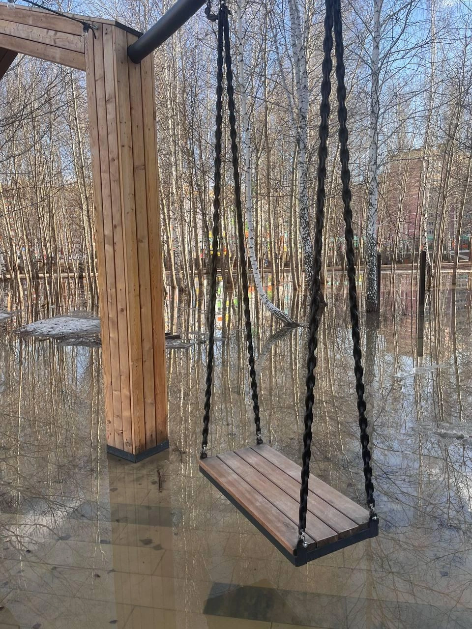 В некоторых местах еще видны остатки снега | Источник: читатель 72.RU