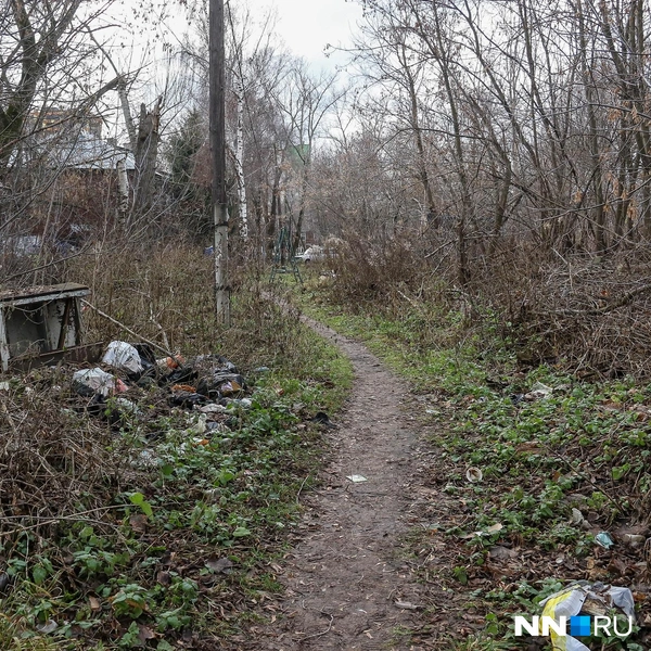Территория очень замусоренная | Источник: Наталья Бурухина / NN.RU