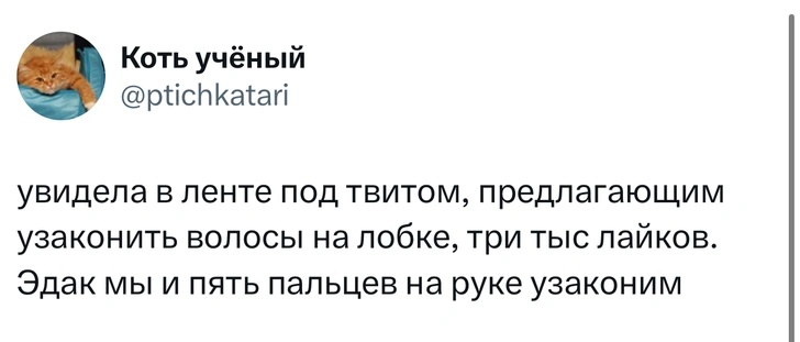 Шутки четверга и «квадроберский креатив»