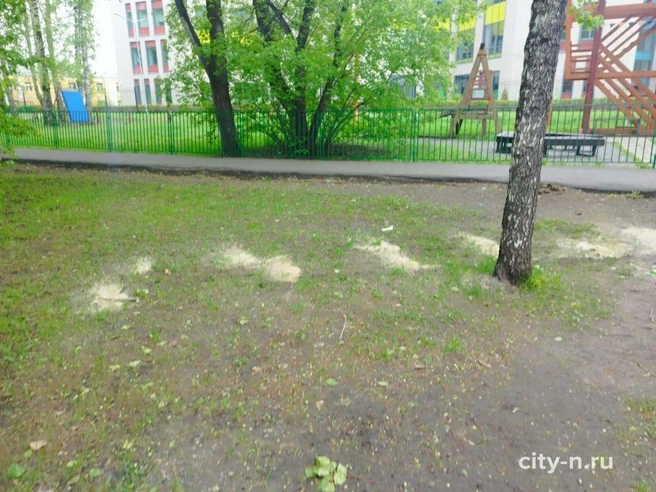 Источник: city-n.ru