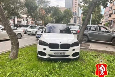 В Екатеринбурге арестован водитель BMW с номерами «ХАМ»
