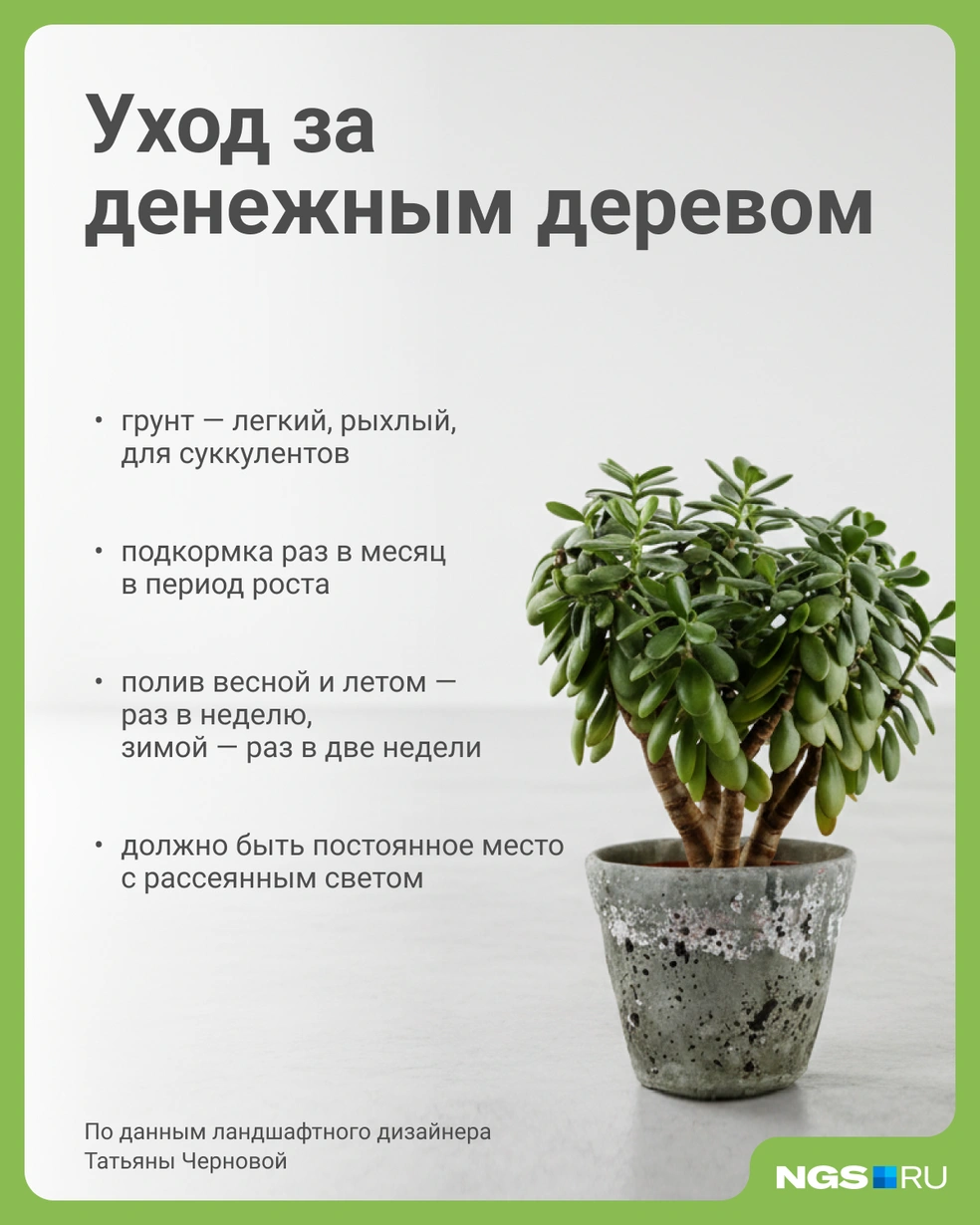 Источник: Юрий Орлов / Городские медиа