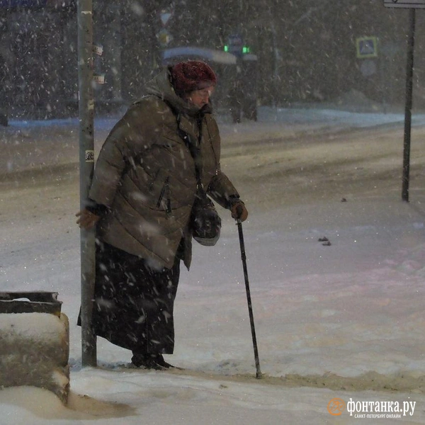 Источник: Михаил Огнев/ «Фонтанка.ру»