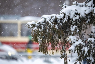 В Алтайском крае объявлено штормовое предупреждение