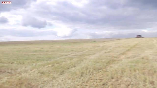 Сибагро ведёт уборочную в Новокузнецком округе | Источник: www.tvn-tv.ru