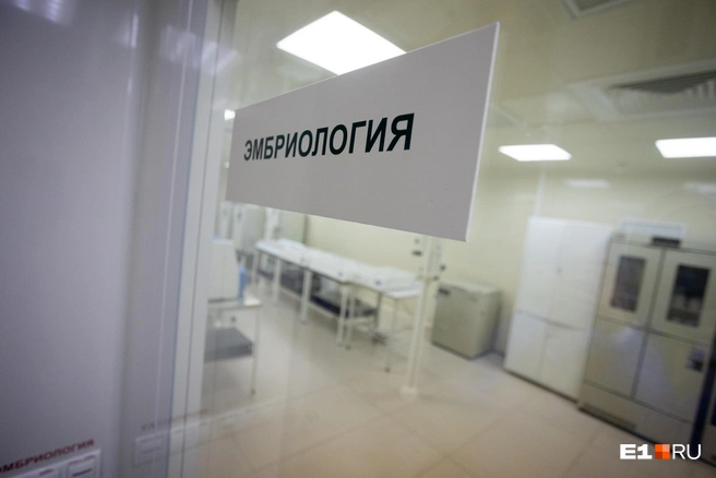 Источник: Владислав Лоншаков / E1.RU