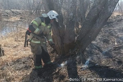 В Петропавловске-Камчатском сгорело 100 квадратных метров сухой растительности