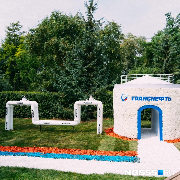 Цветы выложили в стиле триколора | Источник: Елена Латыпова / NGS55.RU