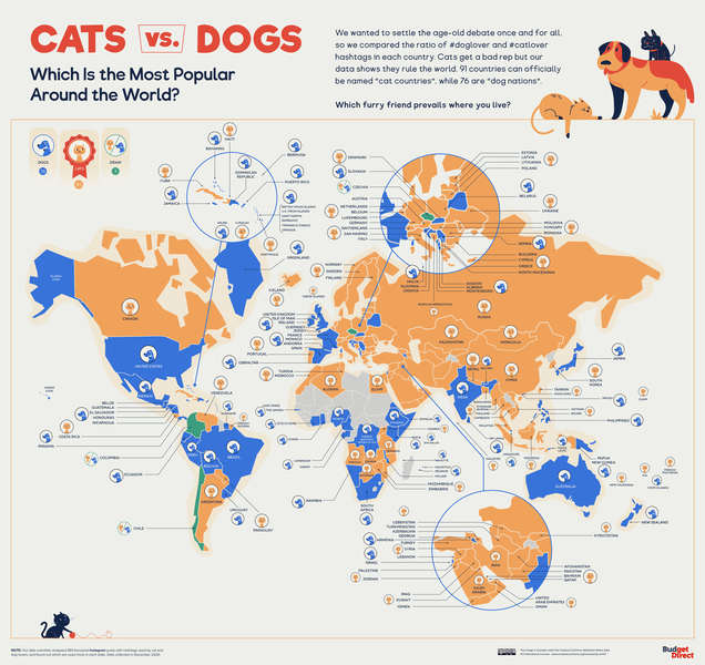 Карта: где в мире больше любят кошек, а где — собак