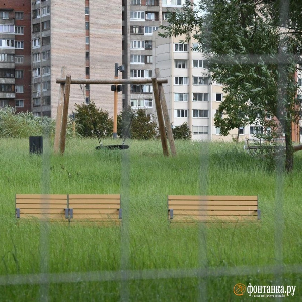 Источник: Андрей Бок / «Фонтанка.ру»