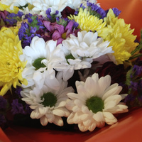 Аватарка Евгения