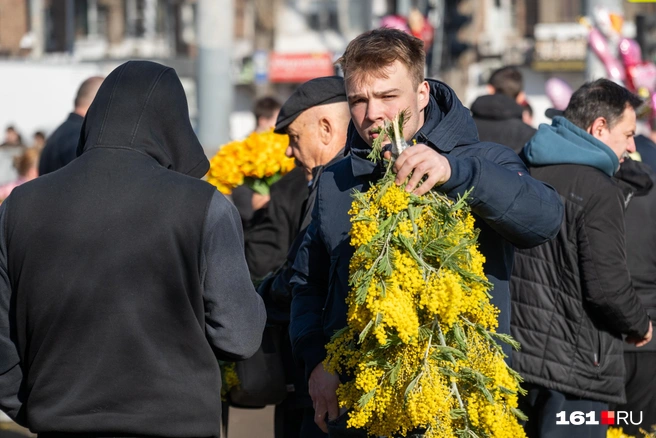 Ни одно 8 Марта не обходится без мимозы | Источник: Евгений Вдовин / 161.RU