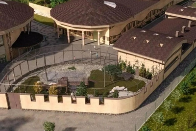 Власти Татарстана выделили сотни миллионов на вольеры для тигров