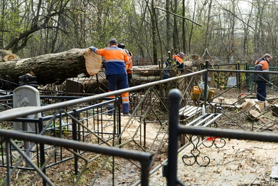 В Череповце убирают деревья на кладбище после ветра