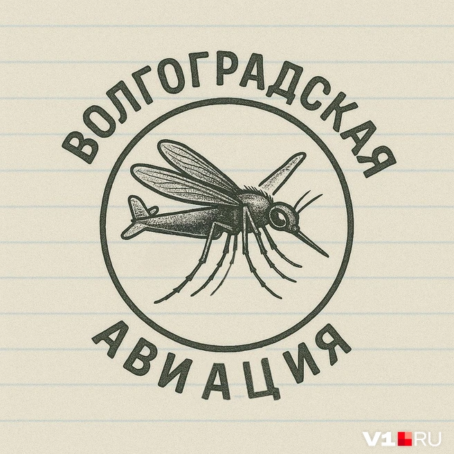 А это бы прекрасно смотрелось на бейсболке | Источник: Городские медиа