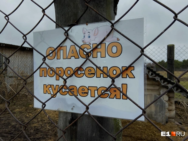 Проверять правдивость таблички мы не стали | Источник: Дарья Костомина / E1.RU