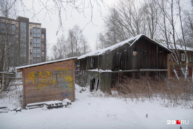 Источник: Иван Митюшёв / 29.RU