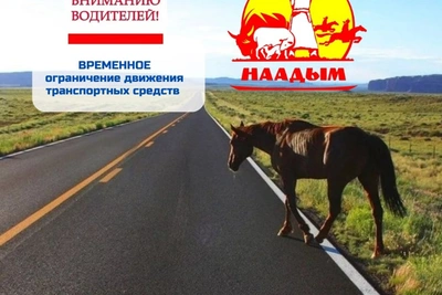 Временное ограничение движения на объездной Кызыла 23-24 июля