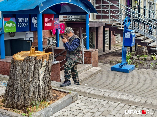 Алло, помогите, деревья угнали | Источник: Булат Салихов / UFA1.RU