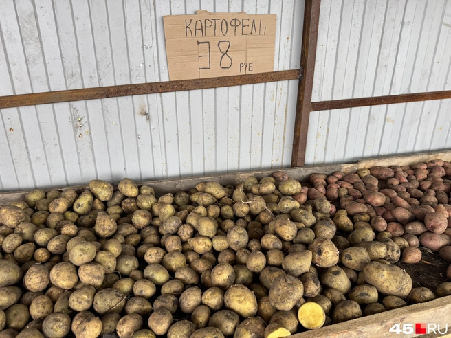 Можно купить также на развес  | Источник: Юлия Король / 45.RU