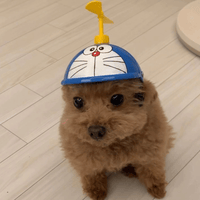 Аватарка MajimaGoromi