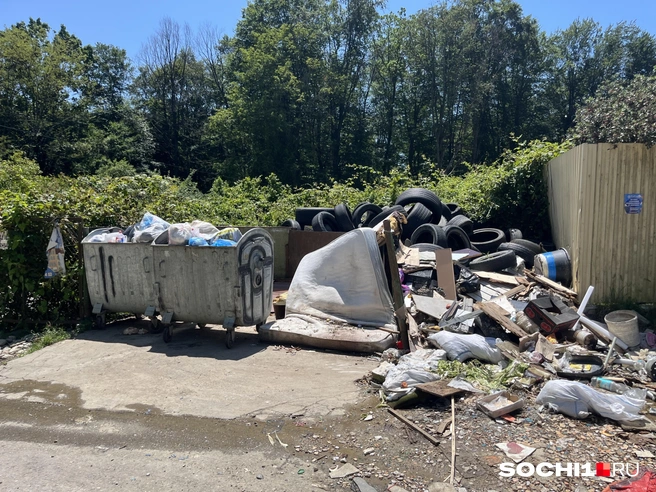 Садоводство в полном запустении | Источник: Анна Грицевич / SOCHI1.RU