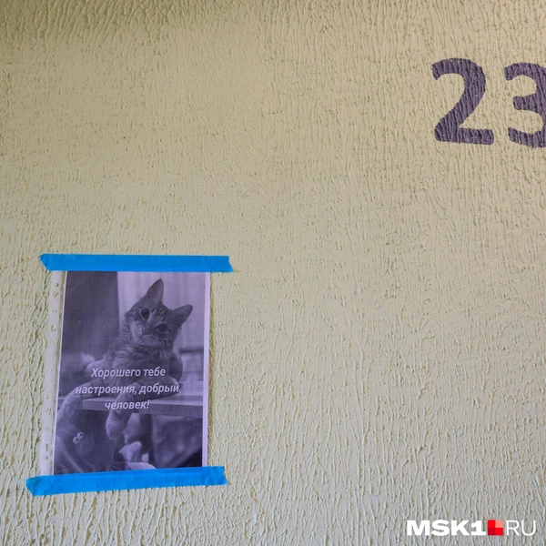 Можно увидеть и добрые поддерживающие пожелания | Источник: Артем Устюжанин / MSK1.RU