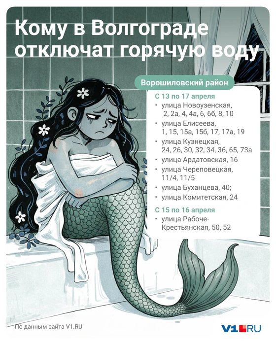 Источник: Полина Авдошина / V1.RU