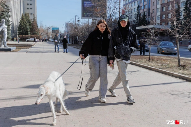 Это белое создание&nbsp;— сама элегантность и грация. Согласны? | Источник: Ирина Шарова / 72.RU