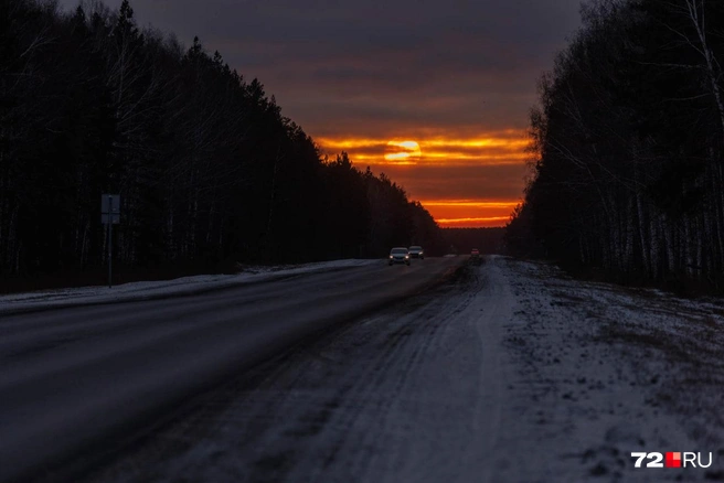 Будьте внимательны на дороге | Источник: Ирина Шарова / 72.RU