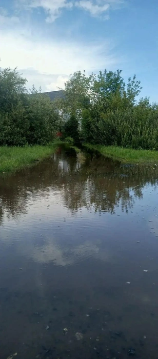 Это уже целое море | Источник: читатель 72.RU