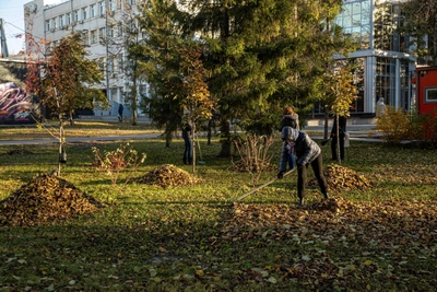 В Новосибирске субботник назначили на 3 октября