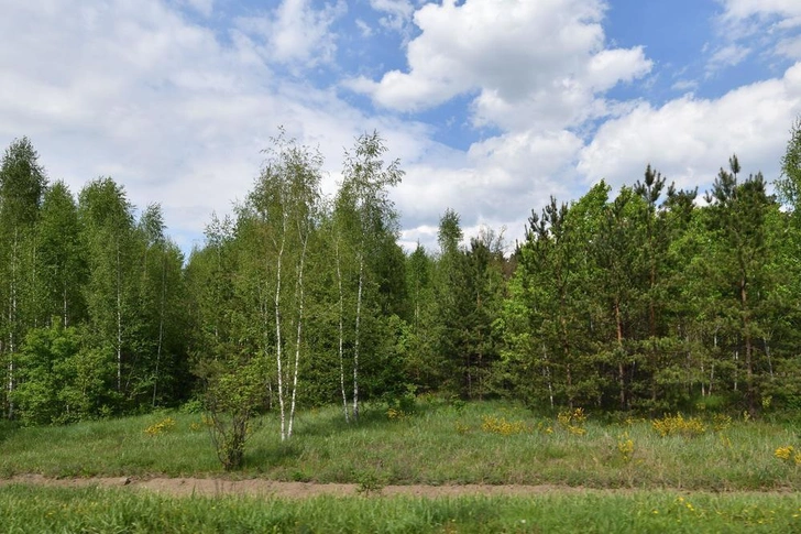 Россию кормит ее богатая земля, щедрая природа 