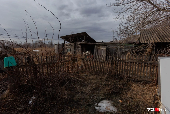Все годы Анценск оставался эстонской деревней. Русские никогда здесь не жили | Источник: Ирина Шарова / 72.RU