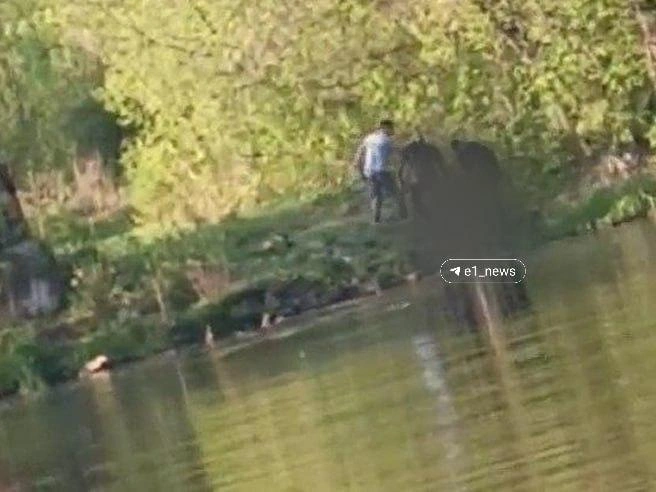 Мальчика достали из воды уже мертвым | Источник: читатель E1.RU