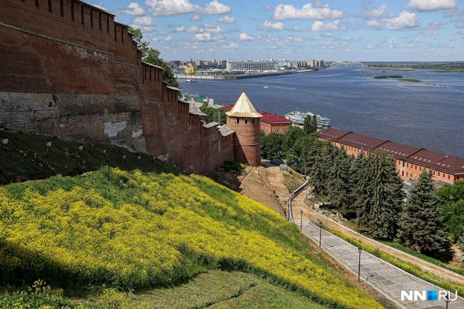 Статус города трудовой доблести Нижнему был присвоен в 2020 году | Источник: Наталья Бурухина